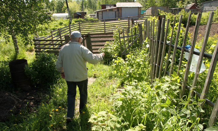 По узкой тропке, через заросли травы, пробираемся к небольшому участку, аккурат возле самого леса. Фото Павла Кононова